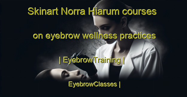 Skinart Norra Hiarum courses on eyebrow wellness practices | EyebrowTraining | EyebrowClasses | SkinartTraining-Sweden